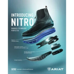 Ariat Men's Devon Nitro Paddock Boot -Best Equestrian Shop 10027185 poster ariat mens nitro.paddock construction