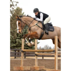 Kerrits Women's 3-Season Tailored Knee Patch Breech 12 Kerrits Women's 3-Season Tailored Knee Patch Breech -Best Equestrian Shop Kerrits 40681P Sand IRL