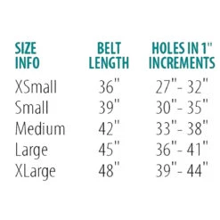 Perri's Padded Leather Belt -Best Equestrian Shop belt size chart 00294.1588165726.1280.1280