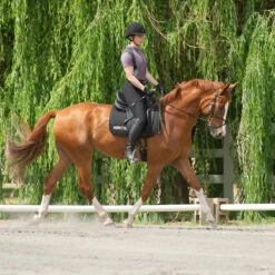 Kerrits Women's Crossover II Full Seat Breech -Best Equestrian Shop black3 68735.1581518814.1280.1280 ee0169b4 275f 4e97 9c76 48ce457233a0