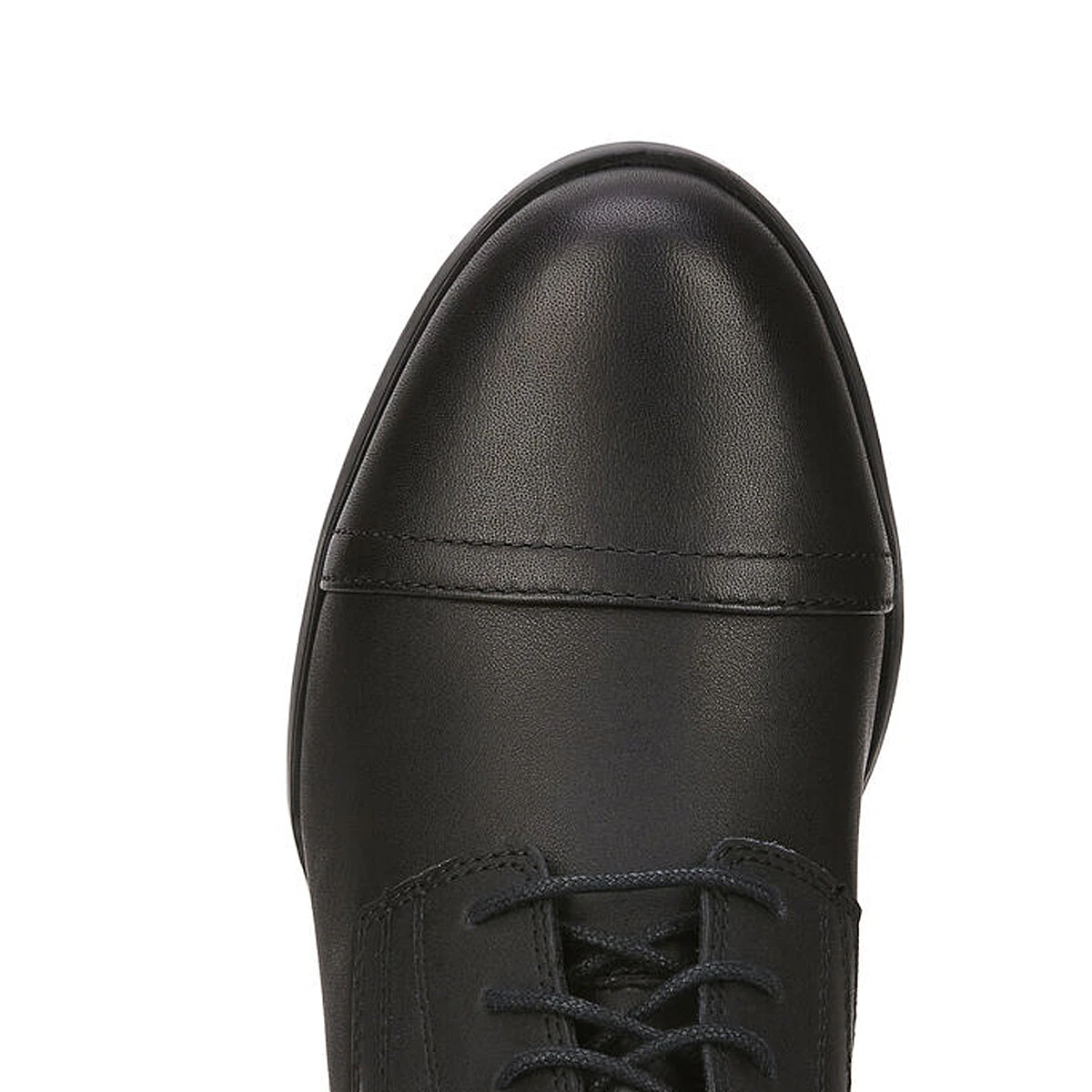 Ariat Women's Scout Lace Paddock Boot 5 Ariat Women's Scout Lace Paddock Boot - Image 5